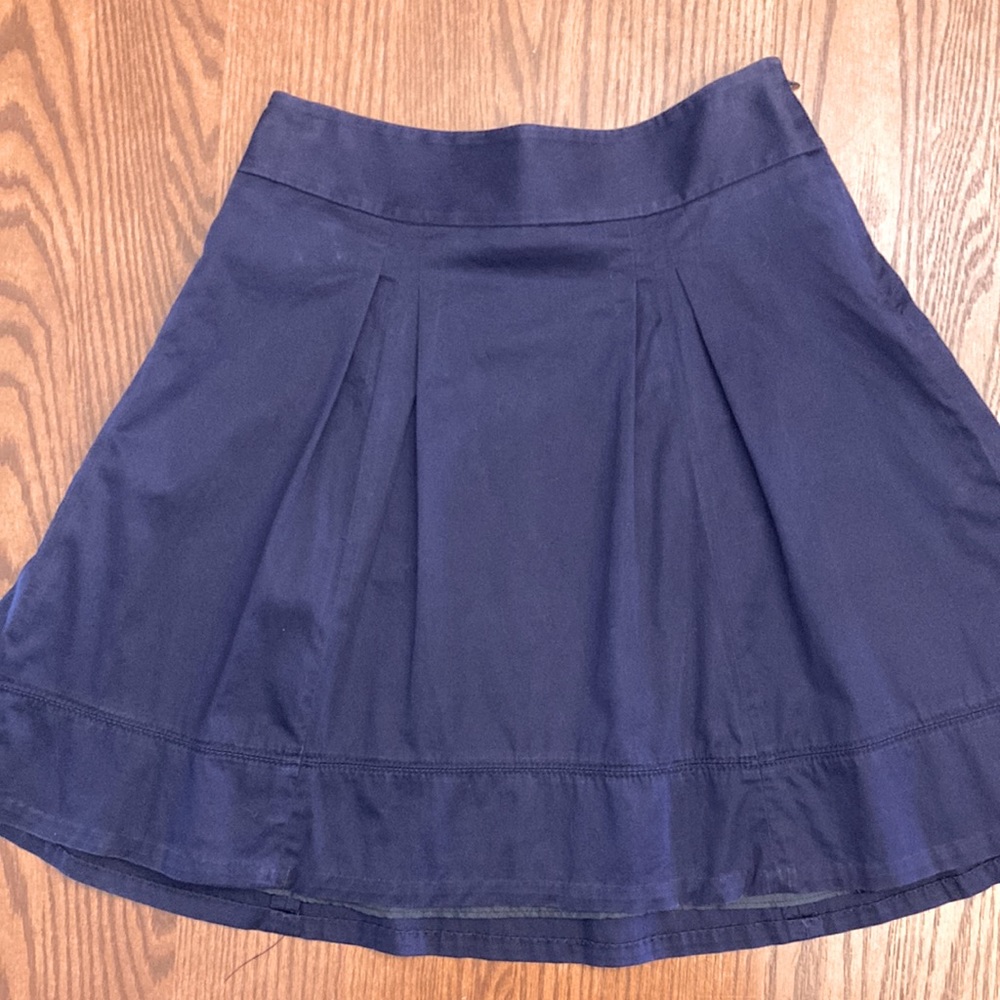 The Limited Skater Skirt